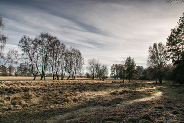 Pietzmoor in Schneverdingen