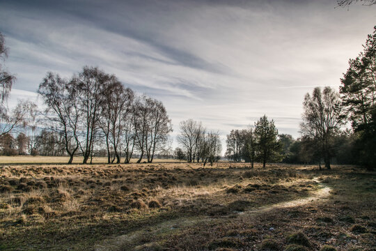 Schneverdingen Bilder Durchsuchen 1,157 Archivfotos,