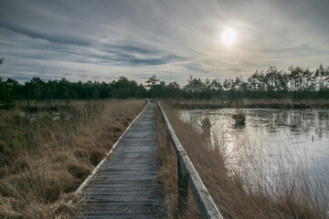 Pietzmoor in Schneverdingen