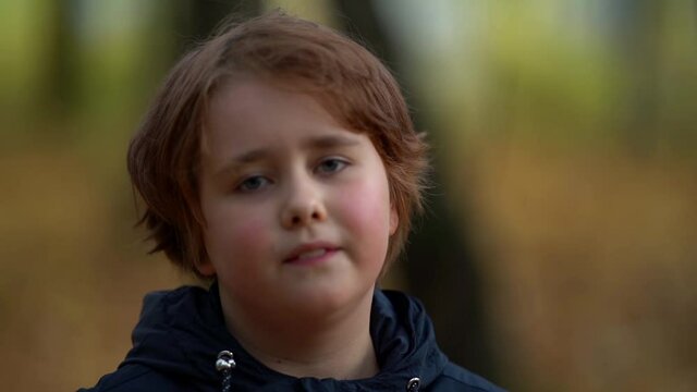 chubby little girl is smiling in autumn park, portrait of charming preschooler child at nature