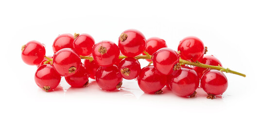 wet red currant berries on white background