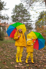 Cute happy little boy and a girl - brother and sister - in identical yellow costumes and hats walking in the forest with rainbow-colored umbrellas. Cosiness, family