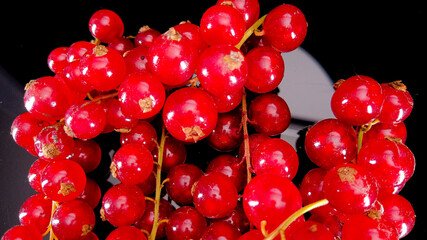 Bunch of Red currants close up shot - food photography