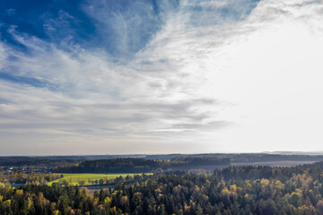Fototapeta premium Autumn forest landscape with trees, aerial bird-eye view