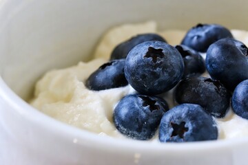 A close up shot of natural Greek style yogurt with some fresh blueberries on top in a white ceramic bowl.
