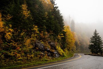 road in autumn