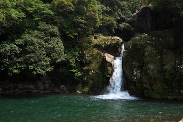 Fototapeta na wymiar さつま町の観音滝 