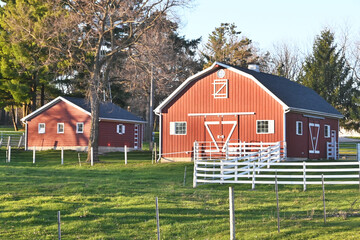 Red Barn and Shed