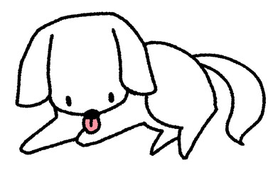 前足をなめる白い小型犬