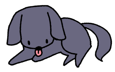 前足をなめる黒い小型犬