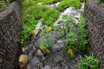 埼玉県新座市 妙音沢  名水100選