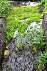 埼玉県新座市 妙音沢  黒目川合流