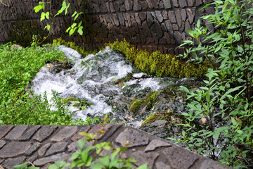 埼玉県新座市 妙音沢  湧き水 名水100選