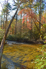 Fall on Abrams Creek