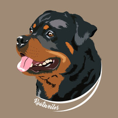Rottweiler Dog vexel illustration isolated in brown     background
