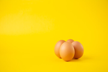 four units of standing eggs with yellow background and cross lighting