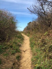 pathway to the ocean