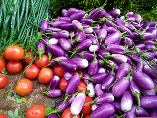 Fresh Brinjal Vegetables || Brinjals sold in the market || 
Different types of vegetables
