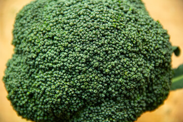 Fresh broccoli in closeup