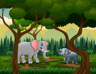 A mother and young elephants in the jungle