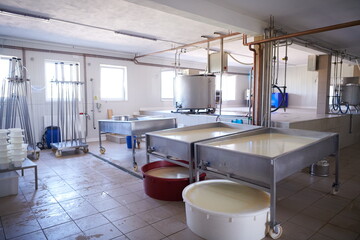 Cheese factory production shelves with aging old cheese