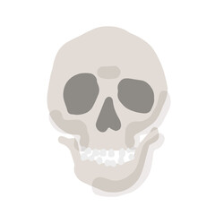 Human skull; Hand drawn vector illustration like woodblock print