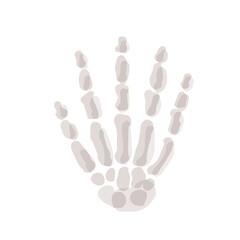 Human hand bones; Hand drawn vector illustration like woodblock print