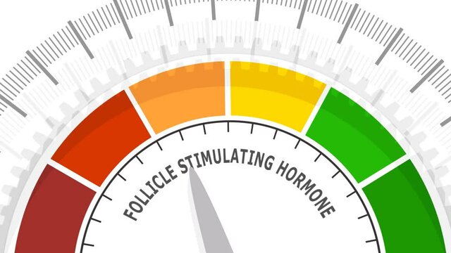 Gradient scale. Follicle stimulating hormone level measuring device icon. Sign tachometer, speedometer, indicators. Infographic gauge element. 3D rendering.