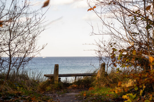 Der perfekte Platz am Meer - Eine Sitzbank im Gespensterwald Nienhagen im Herbst