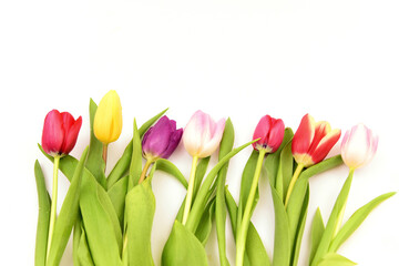 Variety and colorful of Tulips on white background..Tulips season.