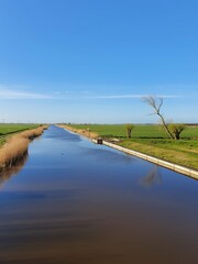 landscape with river