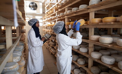 business woman team in local cheese production company