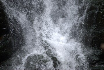 Photos taken in Walter Sisulu Botanical Gardens