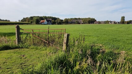 landscape with a fence in the field