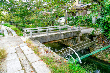 京都　哲学の道