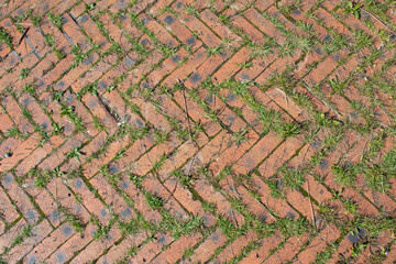 Background. Setts sprouted green grass. Cobblestone texture