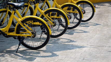 Fototapeta na wymiar Row of yellow bikes parked on cobblestone pavement in public area