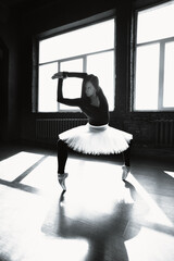 Ballerina in a tutu dress practicing ballet in a ballet studio.