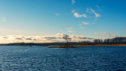 An island on a river or lake with a lone tree without leaves. Calming autumn landscape.