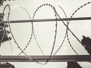 Barbed wires forming heart shape. Black and white image.