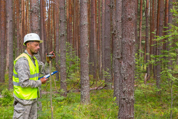 A forest engineer performs forest management work. Forester works in the forest with a measuring...