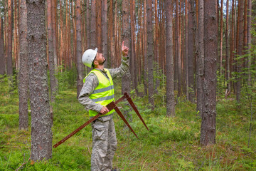 A forest engineer performs forest management work. Forester works in the forest with a measuring tool.