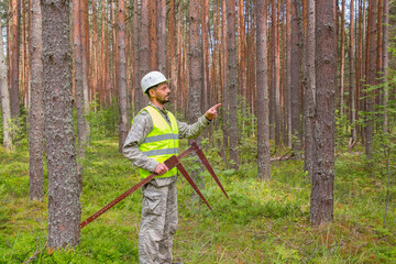 A forest engineer performs forest management work. Forester works in the forest with a measuring...