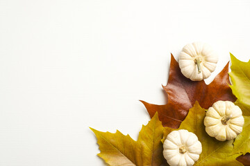 Autumn flat lay composition with pumpkins and colorful maple leaves on white background. Autumn...