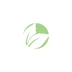 Leaf Mint Logo Template vector symbol