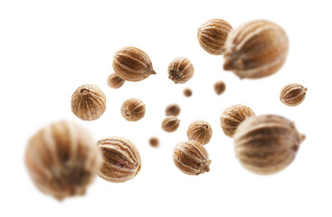 Coriander seeds levitate on a white background