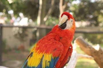 Photos taking in Monte Casino Bird Park, Fourways.