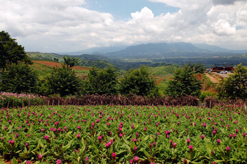 Khao Kho Wind Farm in 