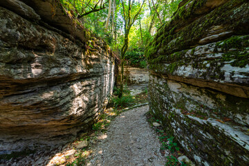 Gap or cleft in ground in mysterious forest. Surroundings of the hiking trail through the rainforest.