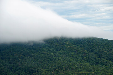 low white clouds lie on the green hills, forest and jungle of Northern Thailand